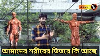 আমাদের শরীরের ভিতরে কি আছে | What is inside our body | Bite size stories