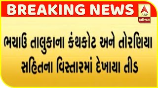 Locusts Appeared In Kanthkot And Tornia Of Bhachau Taluka | ABP Asmita