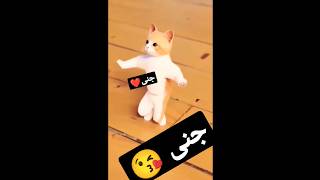 جنى جنى جنى الحلوة جنى جنى😍💃