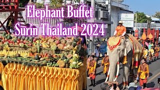 Elephant Buffet Surin Thailand 2024 #thailand