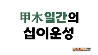 갑목(甲木) 일간의 십이운성