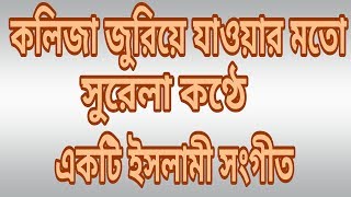 Rokto Rangga Akash Bangla Islamic Song By Ainuddin Al Azadi