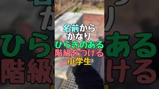 【小学生あるある】『TikTokで200万再生!!!!4年1組しの丸くんの小学生あるある⑯』【高校生】#Shorts