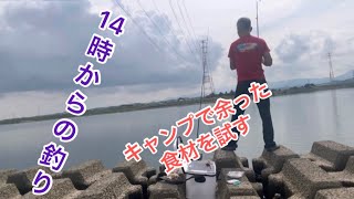 木曽川でハゼ釣りエサは○○で試す