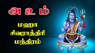 அ உ ம் மஹாசிவராத்திரி மந்திரம் 21-02-2020ல் இந்த ஒன்றை செய்தால் போதும் : AUM -Maha Shivaratri Mantra