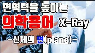 기초의학용어 • 신체의 면(plane)을 X-ray 예시로 같이 알아볼게요