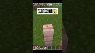 How to make flamingo in Minecraft #shorts #trending