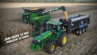 😱XXL MOISSON de MAÏS dans le MÉDOC 🌽| X9 1100 | 16 RANGS | JOHN DEERE 8RX410 !!