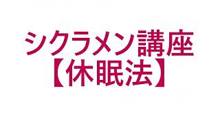 瀬戸南高校シクラメン講座 休眠法の巻