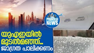 യുഎഇയിലെ വിവിധ മേഖലകളില്‍ മൂടല്‍മഞ്ഞ് ശക്തം  I   UAE