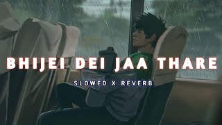 Bhijei Dei Jaa Thare Odia (Slowed+Reverb) Lofi Song | Humane Sagar | Sad Odia Lofi Songs