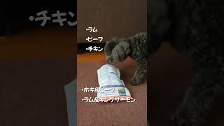 試してみる価値ある！わんちゃん大好きK9 #shorts