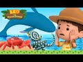 🐳 Best SEA ANIMALS 🦈 Piranhas, Whales, Mimic Octopus 💦  Leo the Wildlife Ranger | Kids Cartoons