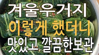 겨울우거지 정말 맛있고 깔끔하게 보관