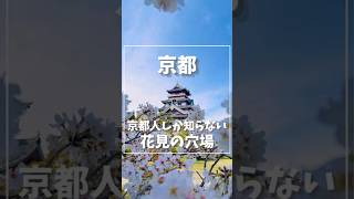 京都人しか知らない‼️お花見スポット🌸 #関西旅行 #京都 #伏見 #お花見