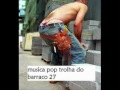 barrako 27 pop trolha remix 2006