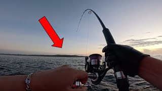 Shore Jigging for TUNA!  Rock Fishing Australia