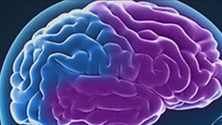 Local neurologist explains actor Bruce Willis' diagnosis of frontotemporal dementia | FOX 7 Austin