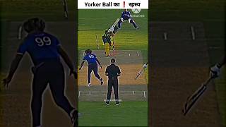 Yorker Ball का ❗️बड़ा रहस्य [ Don't Miss End ] #shorts #cricket