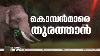 ഇടുക്കിയുടെ ഉറക്കംകെടുത്തുന്ന കാട്ടാനകൾ ഇവരൊക്കെ | Wild Elephants | Idukki