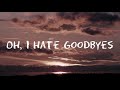 Neptune & Matthew Zeitler feat. Hailey Haus  - I Hate Goodbyes (Lyrics)