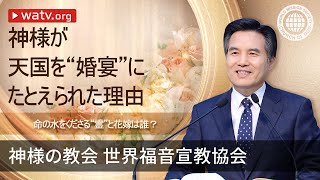 命の水をくださる“霊”と花嫁は誰？ | 神様の教会 世界福音宣教協会, 安商洪様, 母なる神様