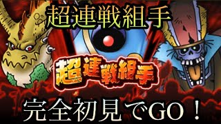 【ドラクエウォーク】超連戦組手を完全初見で挑んだ結果・・・【ドラゴンクエストウォーク】