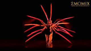 #MOMIX 2024  #Spettacolo a #Teatro #Danza