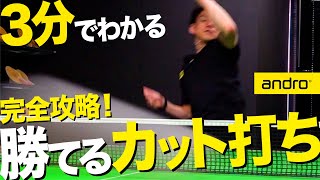 【3分でわかる】カットマンが本気で嫌がるカット打ちのコツ【勝てる卓球 #16】