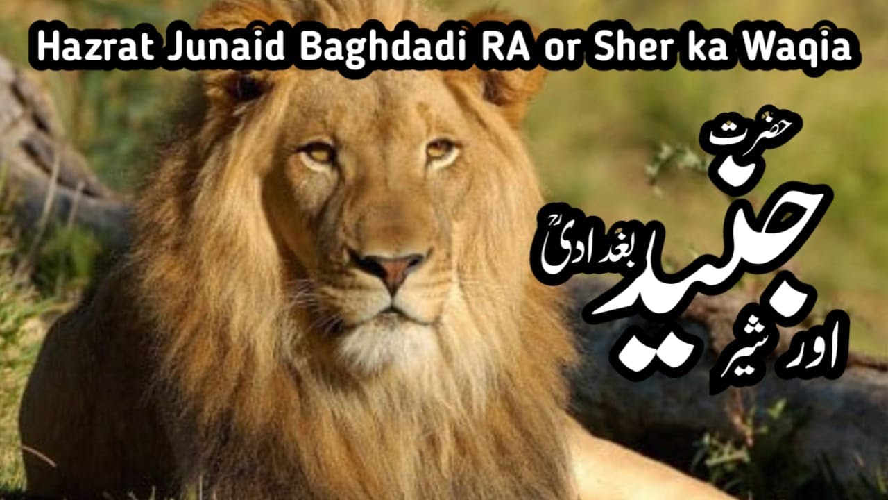 Hazrat Junaid Baghdadi Or Badshah Ka Waqia, Islamic Information ...