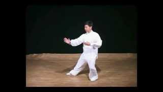 taiji.si, Tradicionalni Yang taijiquan z velemojstrom Yang Jun-om, Forma 103, 1. del