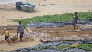 Sri Lanka,ශ්‍රී ලංකා,Ceylon,Negombo Beach Dry Fish preparations