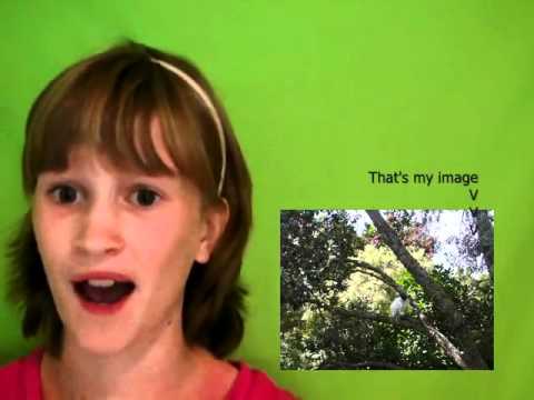 Green Screening For Free Tutorial in Windows Movie Maker Vista Green Screening For Free Tutorial in Windows Movie Maker Vista