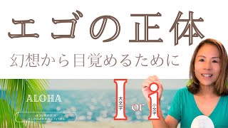 本質的なエゴと暴走するエゴの話 | 私的エゴの手放し方