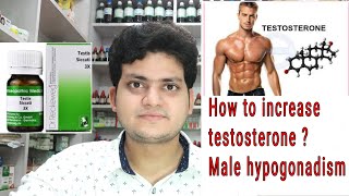 How to increase testosterone ? Male hypogonadism ! Homeopathic medicine !