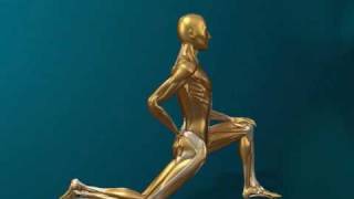 fhi074.avi