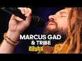 MARCUS GAD & TRIBE LIVE AT RASTAPLAS FESTIVAL ZOETERMEER. THE NETHERLANDS 2023.