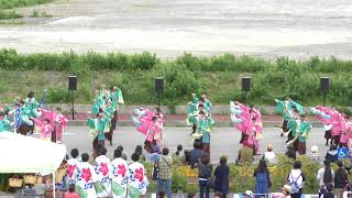 皇學館大学よさこい部″雅″（雅夢桜）  2018.5.20南紀海彩まつり サブ会場