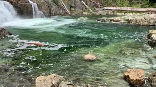 Lower Myra Falls