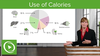 Use of Calories and Alcohol Metabolism – Nutrition | Lecturio