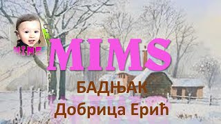 Бадњак-Добрица Ерић