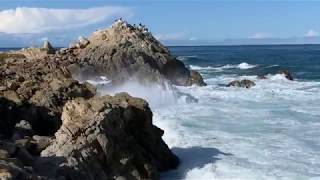 17 Mile Drive tour of Pebble Beach - Monterey