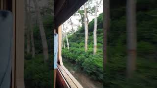 Fenchuganj Sylhet Tea garden #foyez  #sylhet #teagarden #train