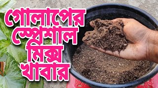 গোলাপ গাছের জন্য স্পেশাল মিক্স খাবার || গাছ ফুলে ভরে যাবে , ইউটিউবে প্রথম এরকম ভিডিও || Rose food ||