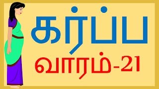 Pregnancy | Tamil | Week 21  | வாரம் 21