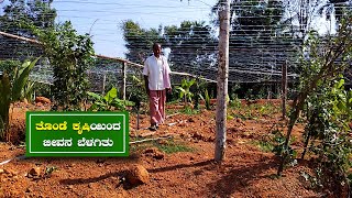 ತೊಂಡೆ ಕೃಷಿಯಿಂದ ಜೀವನ ಬೆಳಗಿತು | ಕಲ್ಲೆಂಬಿ ವಿಶ್ವನಾಥ ಗೌಡರ ಕೃಷಿ ಬದುಕು... | SUDDI NEWS SULLIA