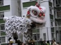 南豐新邨2016丙申猴年初六醒獅賀春節 2