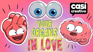 Your Organs When You Are In Love