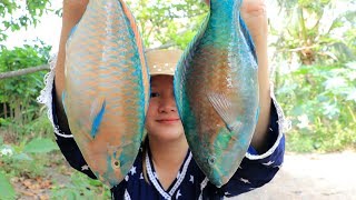 Yummy Parrot Fish Steaming Recipe - Parrot Fish Cooking Sauce - Cooking With Sros