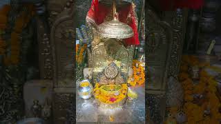 Brijeshwari devi || Kangra matarani || kangra mandir || Nagarkot dharm|| Jai mata di 🙏🚩🛕